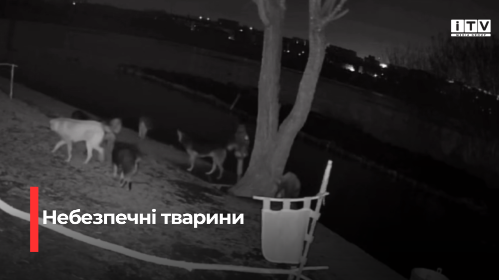 Скріншот із відео