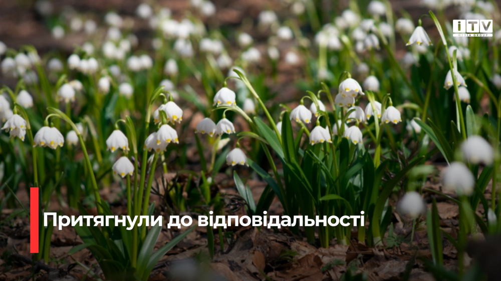 Фото ілюстративне 