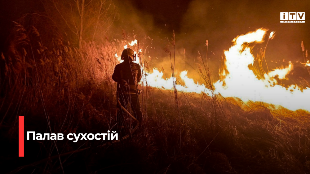 Фото ілюстративне 