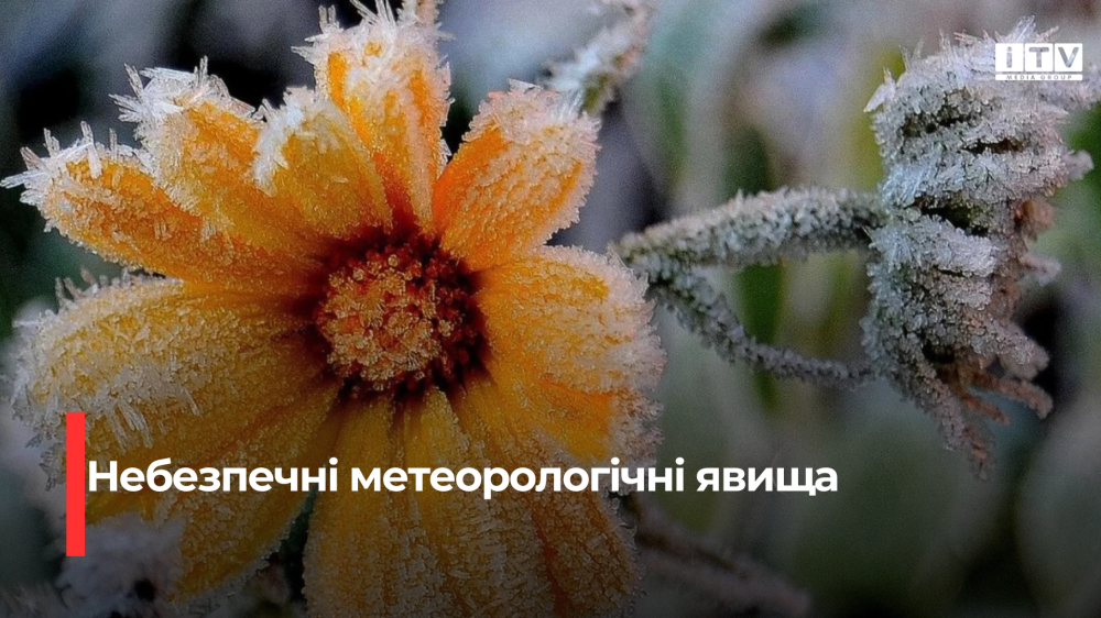 Фото ілюстративне 