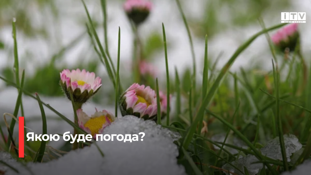 Фото ілюстративне 