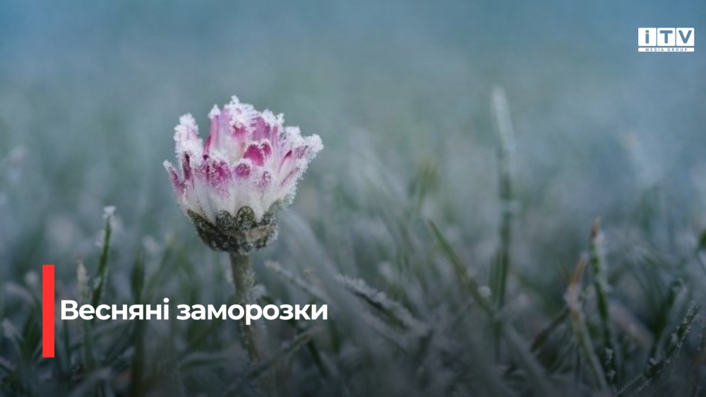 Фото ілюстративне