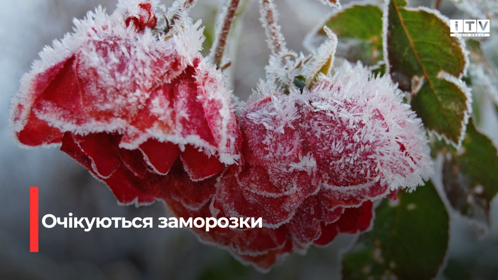 Фото ілюстративне 