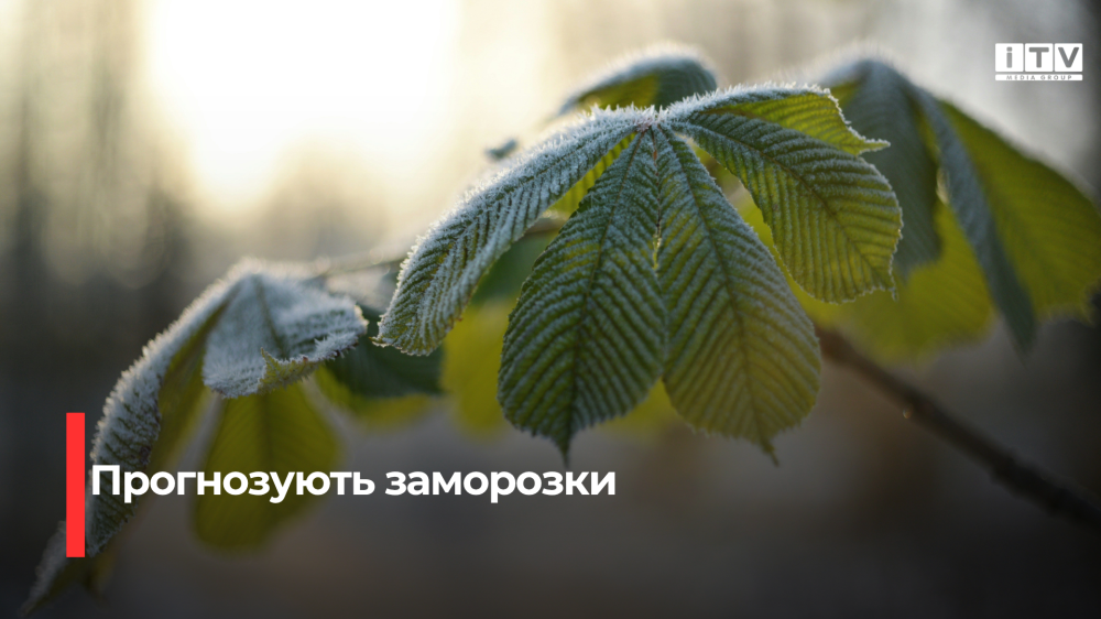 Фото ілюстративне 