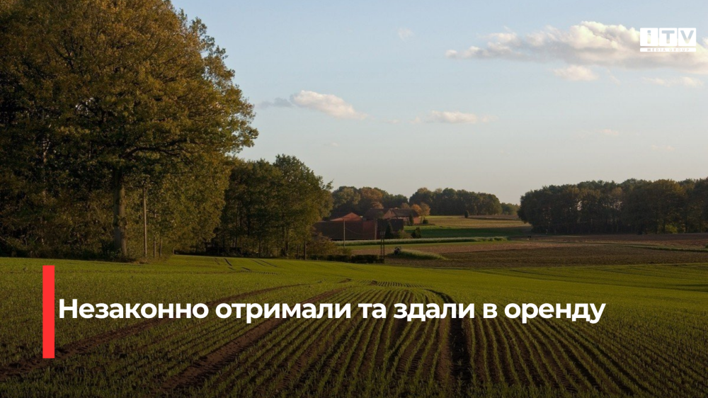 Фото ілюстративне 