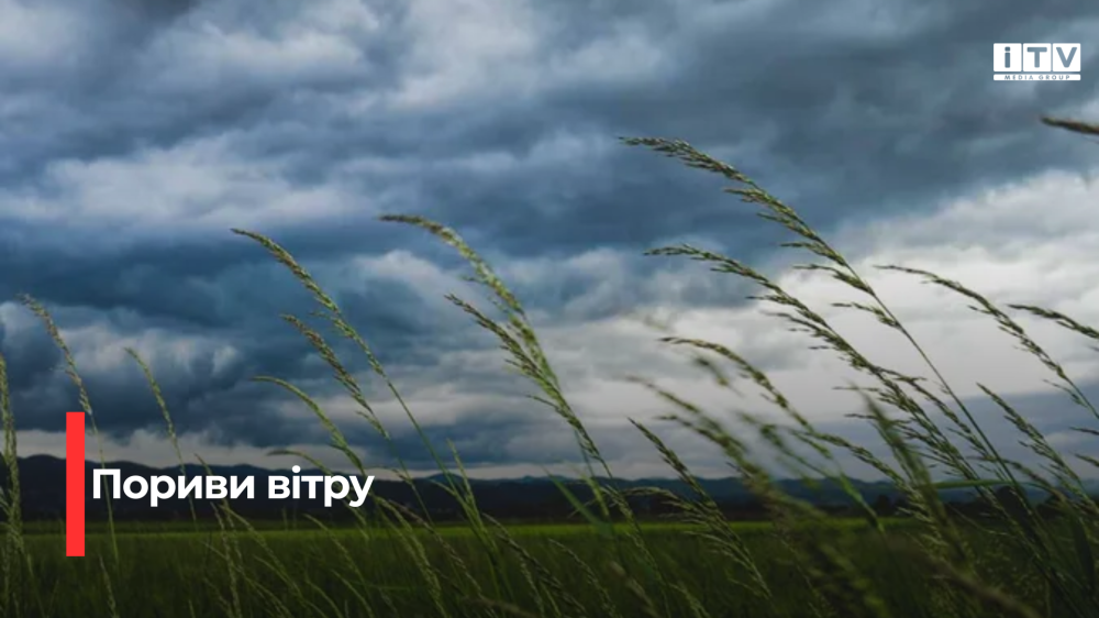 Фото ілюстративне