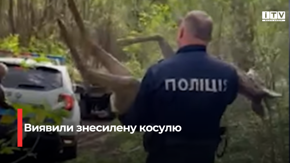 Скріншот із відео
