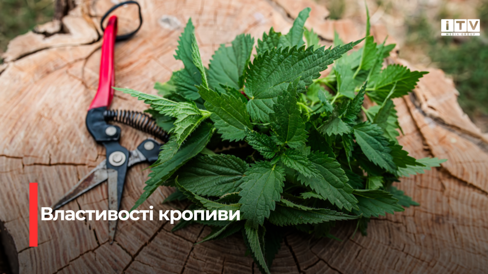 Фото ілюстративне 
