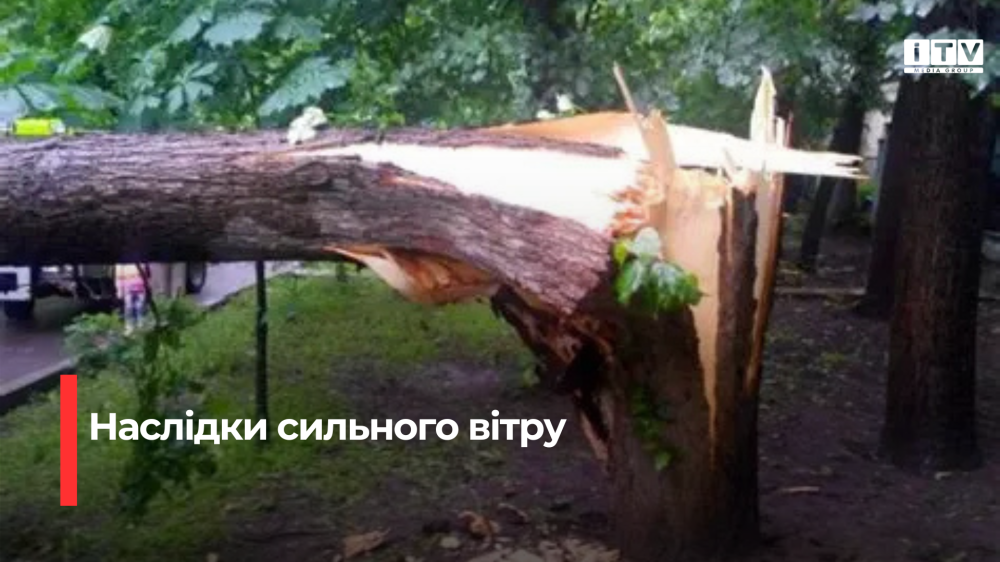Фото ілюстративне 
