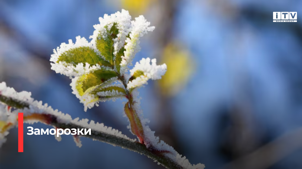 Фото ілюстративне 