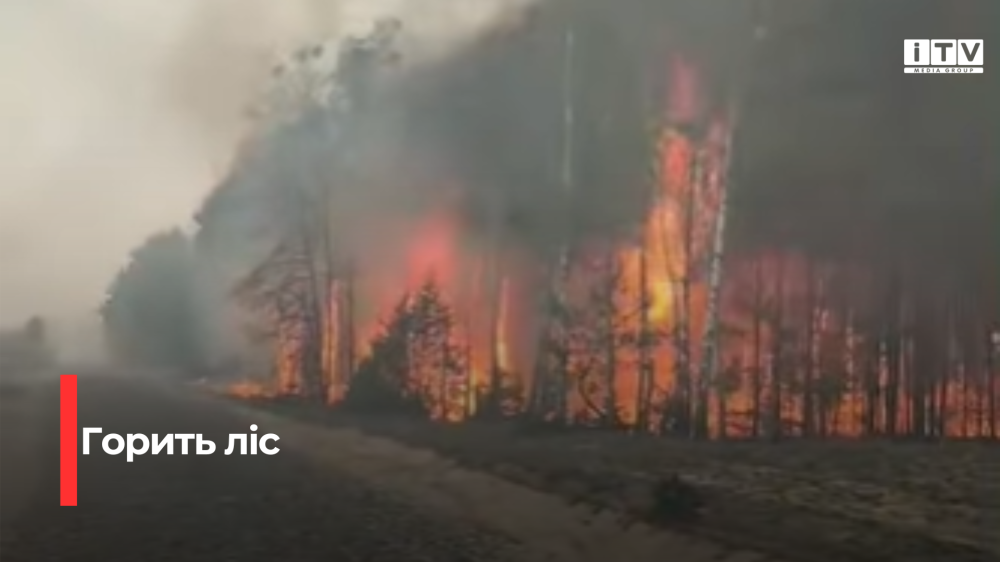 Скріншот із відео