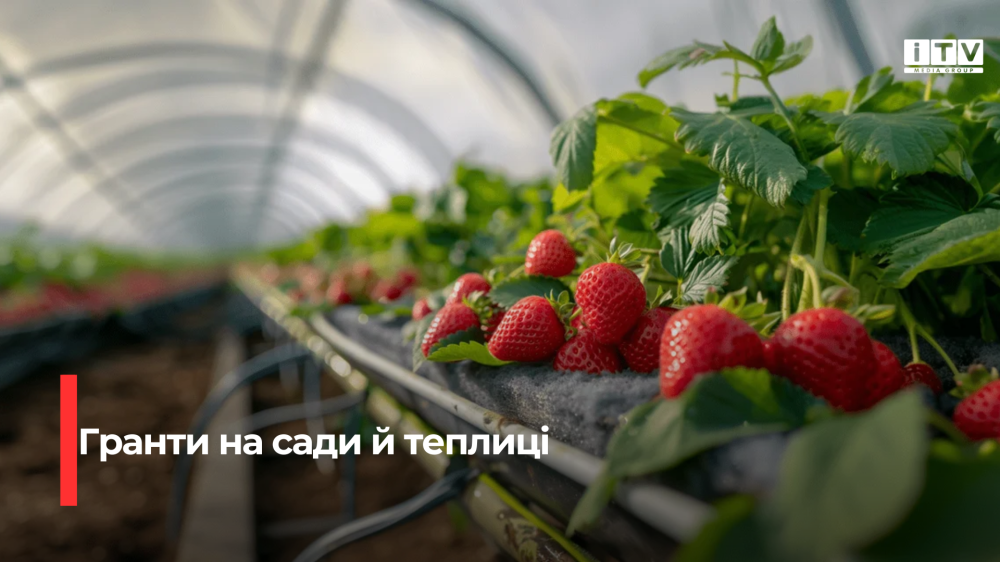 Фото ілюстративне 