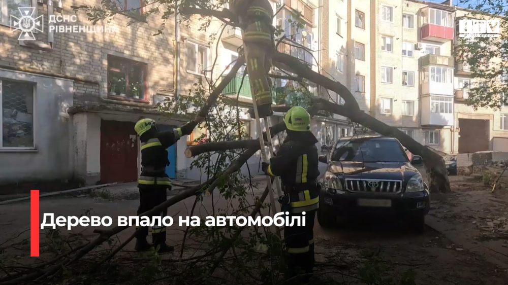 Скріншот із відео