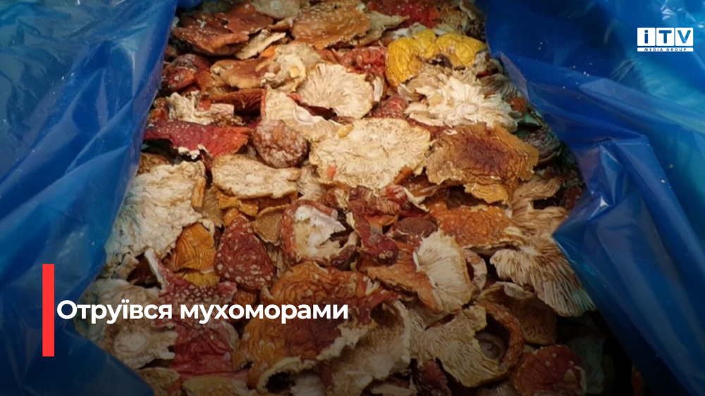 Фото ілюстративне 
