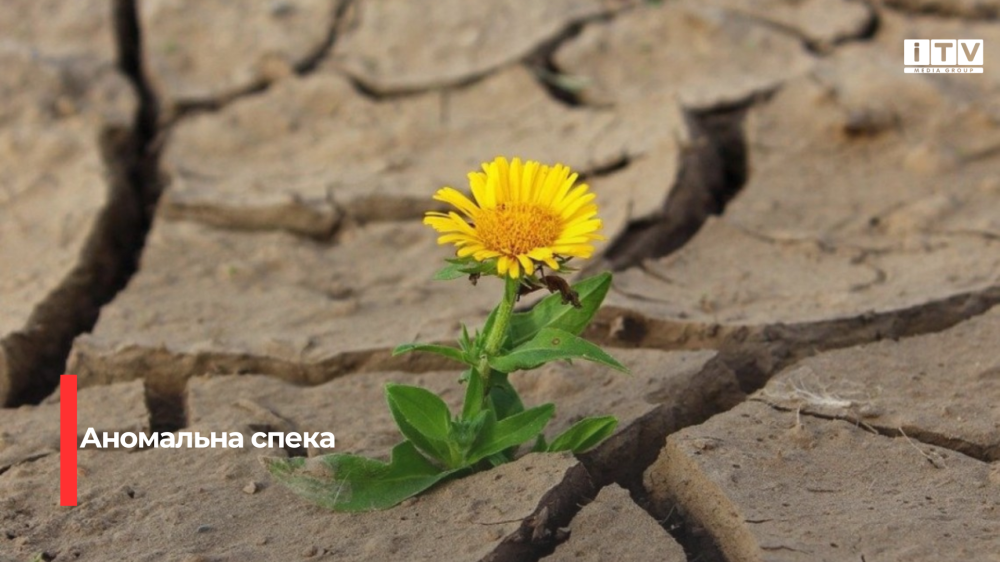 Фото ілюстративне 