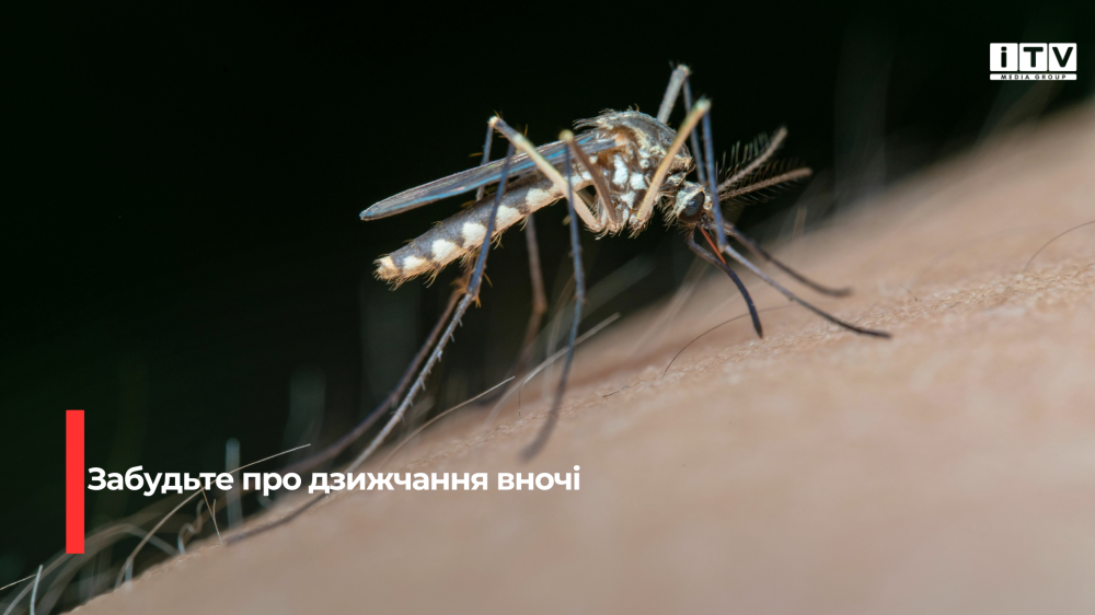 Фото ілюстративне