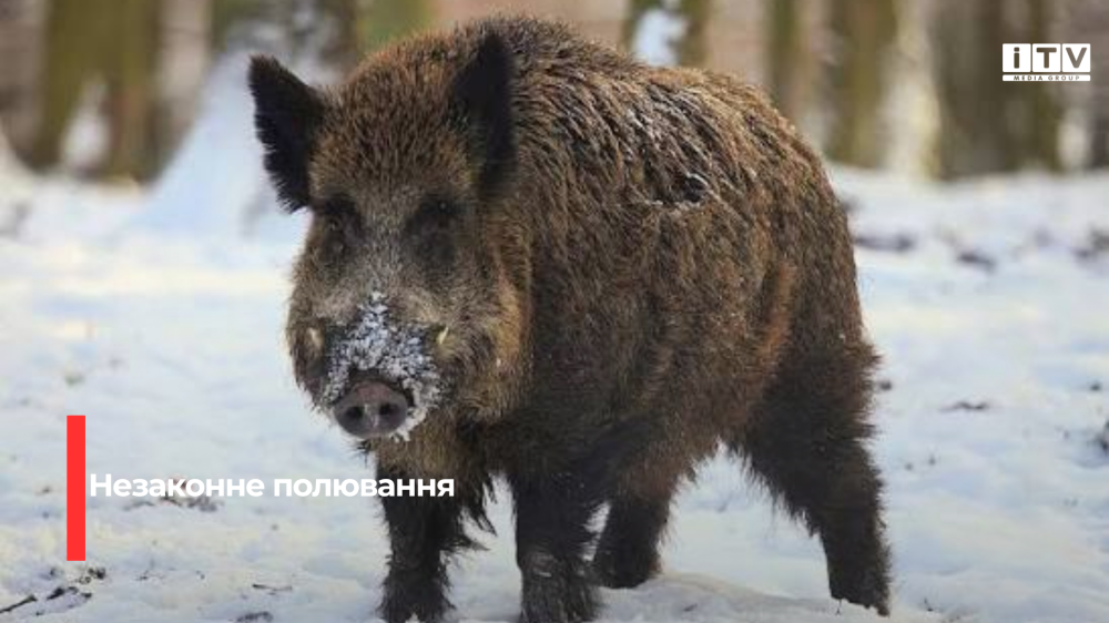 Фото ілюстративне