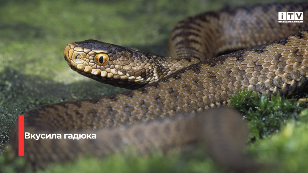 Фото ілюстративне 