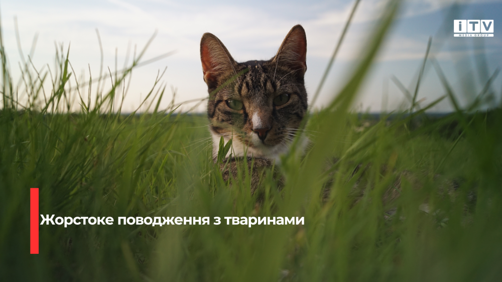 Фото ілюстративне