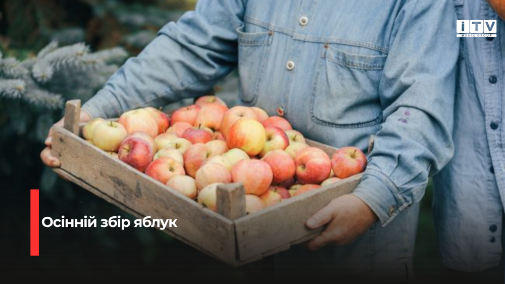 Фото ілюстративне 