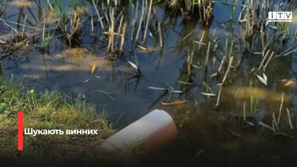 Скріншот із відео