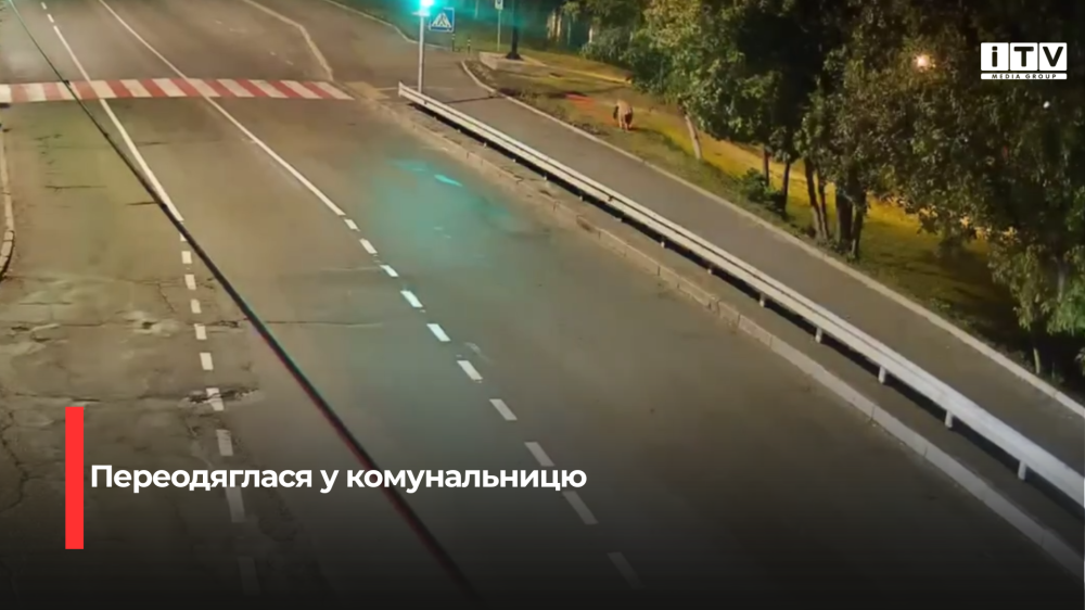 Скріншот із відео