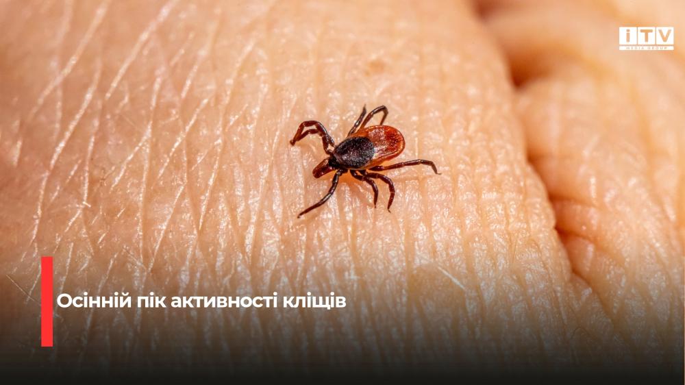 Фото ілюстративне