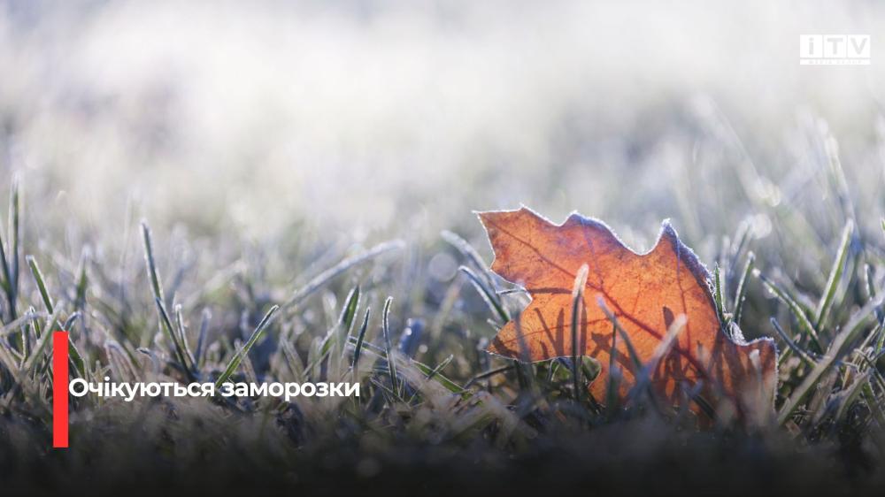 Фото ілюстративне 